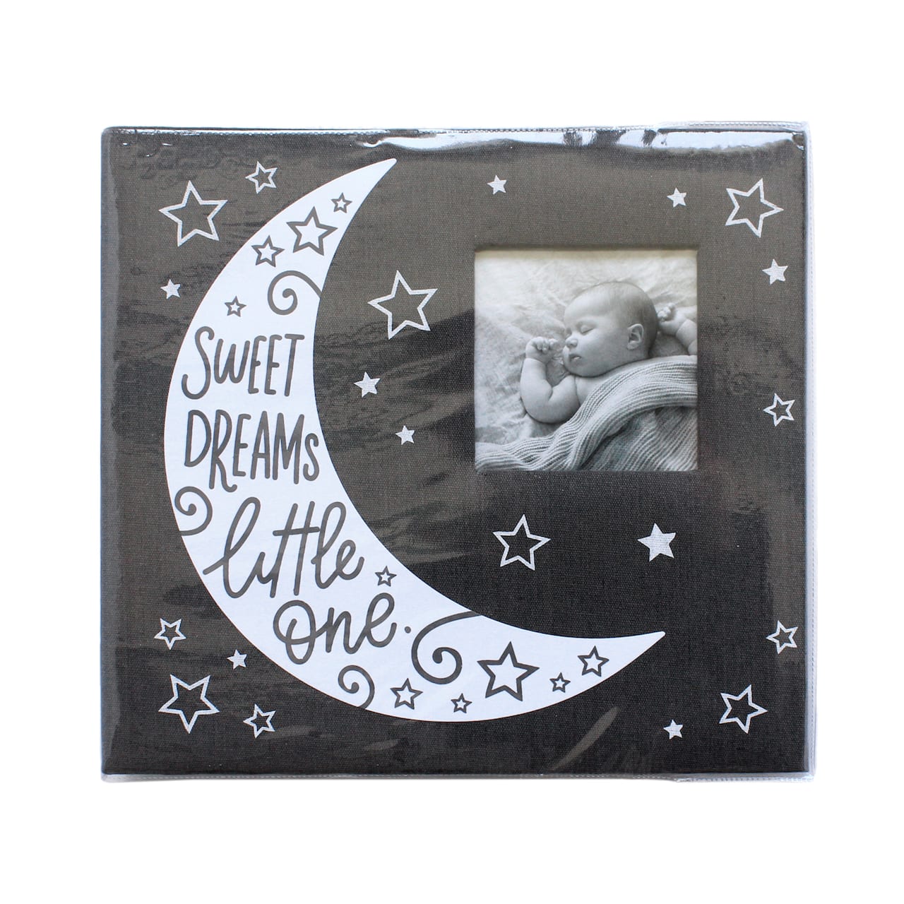 Gray Moon Scrapbook by Recollections&#xAE; 